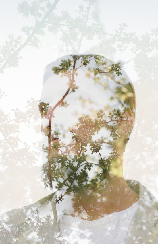 copy-plant-covered-mountains-space